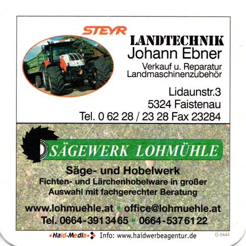 faistenau s-a bramsau quad 3b (185-steyr landtechnik)